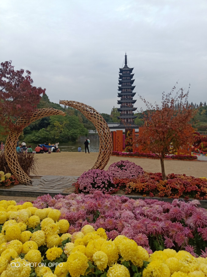 玩转上海松江‖自驾一日游《古典园林·醉白池》《繁花似锦·方塔园》